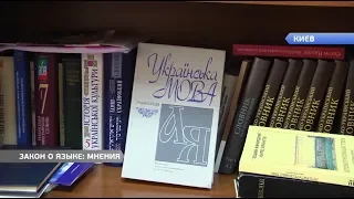 Языковой закон: «за» и «против»