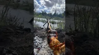 Rotisserie chicken , river powered￼