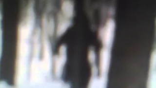 CELL PHONE PICTURE--BIGFOOT