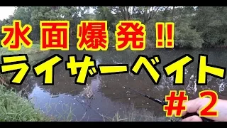 朝マズメの流れ込みにライザーベイトを投げたら凄かった!!【バス釣り】