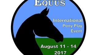 Equus IPPE 2016:  Jumping Top Notch Solo,  Charisma