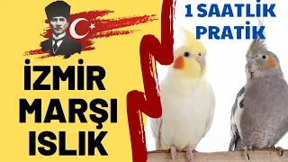 ISLIKLA İZMİR MARŞI 1 SAAT - ISLIKLA PAPAĞAN ŞARKILARI - SULTAN PAPAĞANI İZMİR MARŞI