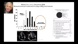 Спортивная медицина. Доклад д.м.н., проф. Гавриловой Е.А. Гипертрофия миокарда у спортсменов.