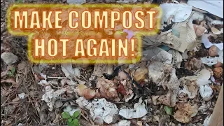 How to Make Compost Hot Again: Four Easy Tricks