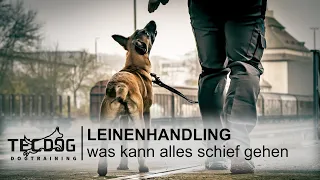 Leinenhandling, was kann alles schief gehen