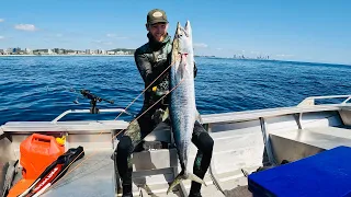 Epic Morning Spearfishing | Gold Coast Spanish Mackerel & Giant Squid | CATCH & COOK