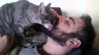 Cat licking my beard