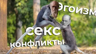 Эгоизм. Секс. Конфликт.