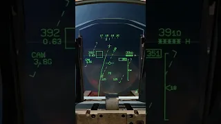 DCS #shorts Full Dogfight Mirage Vs Hornet