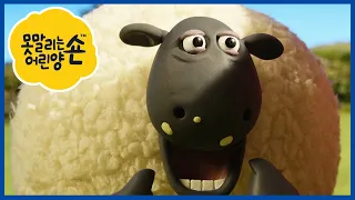 에피소드 펀 믹스 15 - 숀 더 쉽 - 편집 1 시간 [Shaun the Sheep Korea | Compilation]