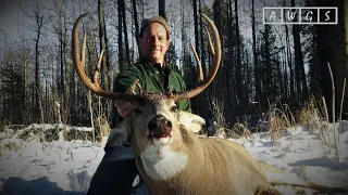 Trophy Whitetail Deer & Wolf Hunting with AWGS in Alberta, Canada - A Pair of Trophies