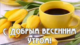 Доброе весеннее утро💖Пожелание Доброго утра и Хорошим Днем💖Самая Красивая Открытка с Добрым утром