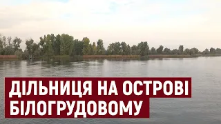 Як голосували у селі Білогрудове Голопристанського району