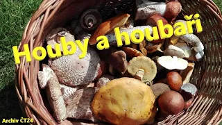 Houby a houbaři | Archiv ČT24