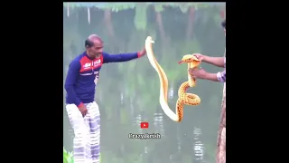 snake prank 😂 | Funny video