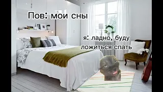 СБОРНИК ВИДЕО С МЕМНЫМИ КОТАМИ! 12 минут видео с мем котами!