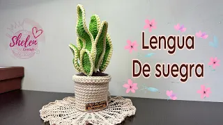 Tutorial lengua de suegra a crochet🪴