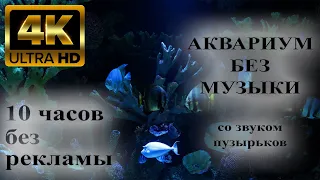 Виртуальный аквариум 4К (2160p) без музыки. 10 часов без рекламы. Звук пузырьков. Релакс. ASMR.