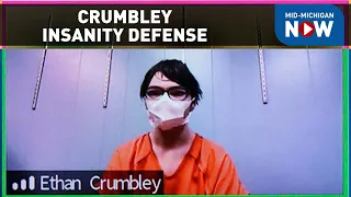 Court filing says Ethan Crumbley to pursue insanity defense