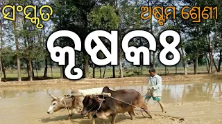 Class 8 Sanskrit Krishaka| (କୃଷକଃ)|Krushakah |Odia Medium By #Nm Education#Sanskrit #Class 8 #Odia