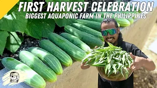 First Harvest From The Biggest Aquaponic Farm in The Philippines!