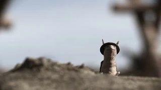 War Worm - WW1 Uncut - BBC