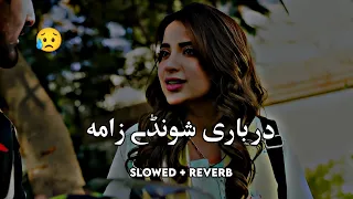 Sharbati Shaonde Zama (Slowed+Reverb) Pashto New Song | Pashto Song | New Song 2023