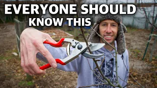 This Technique of Pruning Trees Will Change Your Life