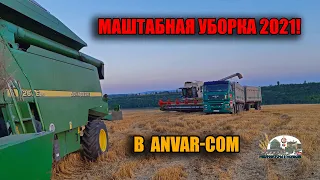 Маштабная уборка пшеницы 2021!2Комбайны Claas Lexion и 1John Deere 2266 Extra работают на поле Anvar