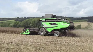 Deutz-Fahr C9306 TS Combine Harvester Harvesting Beans