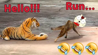 Fake Tiger Vs Real Cat So Funny Prank Video 2021 With Surprise Scared Reaction - Try Not To laugh