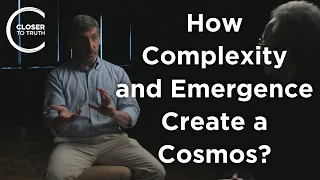 Neil Theise - How Do Complexity and Emergence Create a Cosmos?