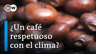 El futuro del cultivo y la producción del café | DW Documental