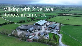 Milking with 2 DeLaval Robots in Limerick