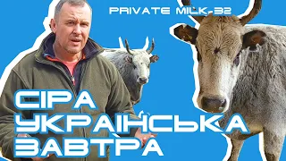 Сіра українська завтра | Private Milk | Травецький