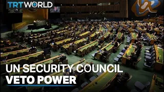 Intl community calls for UN Security Council veto reforms