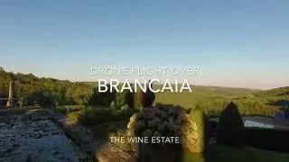 Beautiful Drone Flight of Brancaia in Tuscany - DJI Phantom 4