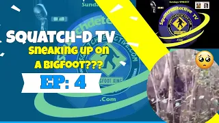 👉Bigfoot snuck up on? -  Squatch-D TV Ep. 4