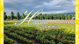 Asahikawa, Sapporo, Otaru | Hokkaido Summer | Jul 2023