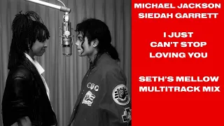 Michael Jackson - I Just Can’t Stop Loving You (Seth’s Mellow Multitrack Mix)