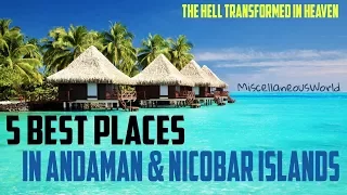 5 Best Places To Visit In Andaman and Nicobar Islands | Miscellaneous World |