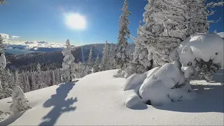 Tree Skiing some powder 2021 Schweitzer Ski Resort