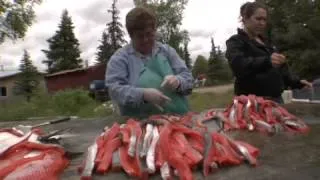 Represented Footage From Wet Waders