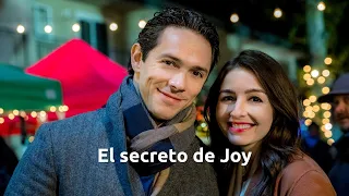 El Secreto de Joy [2.017] HDTVRip (Español Castellano)