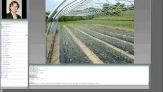 Strawberry Production