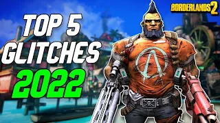 Borderlands 2 Glitches That Still Work In 2022! | Massive Damage, Infinite Ammo, and More!