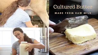 How to Make Cultured Butter from Raw Milk | Come milk my Jersey cow Sally with me & make butter!