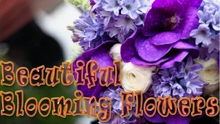 Beautiful Blooming Flowers (Time lapse) Как распускаются цветы!(ускоренная съёмка)