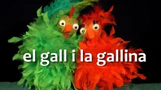 Titelles Pamipipa - El gall i la gallina