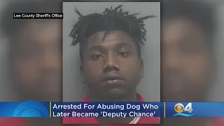 Florida Man Arrested For Abusing Dog Who Later Became 'Deputy Chance'